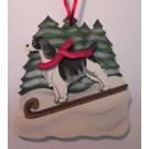 Tobogganing Dandy Dog with festive red scarf